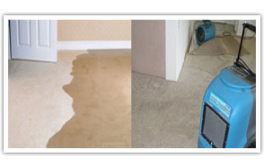 drying wet carpets